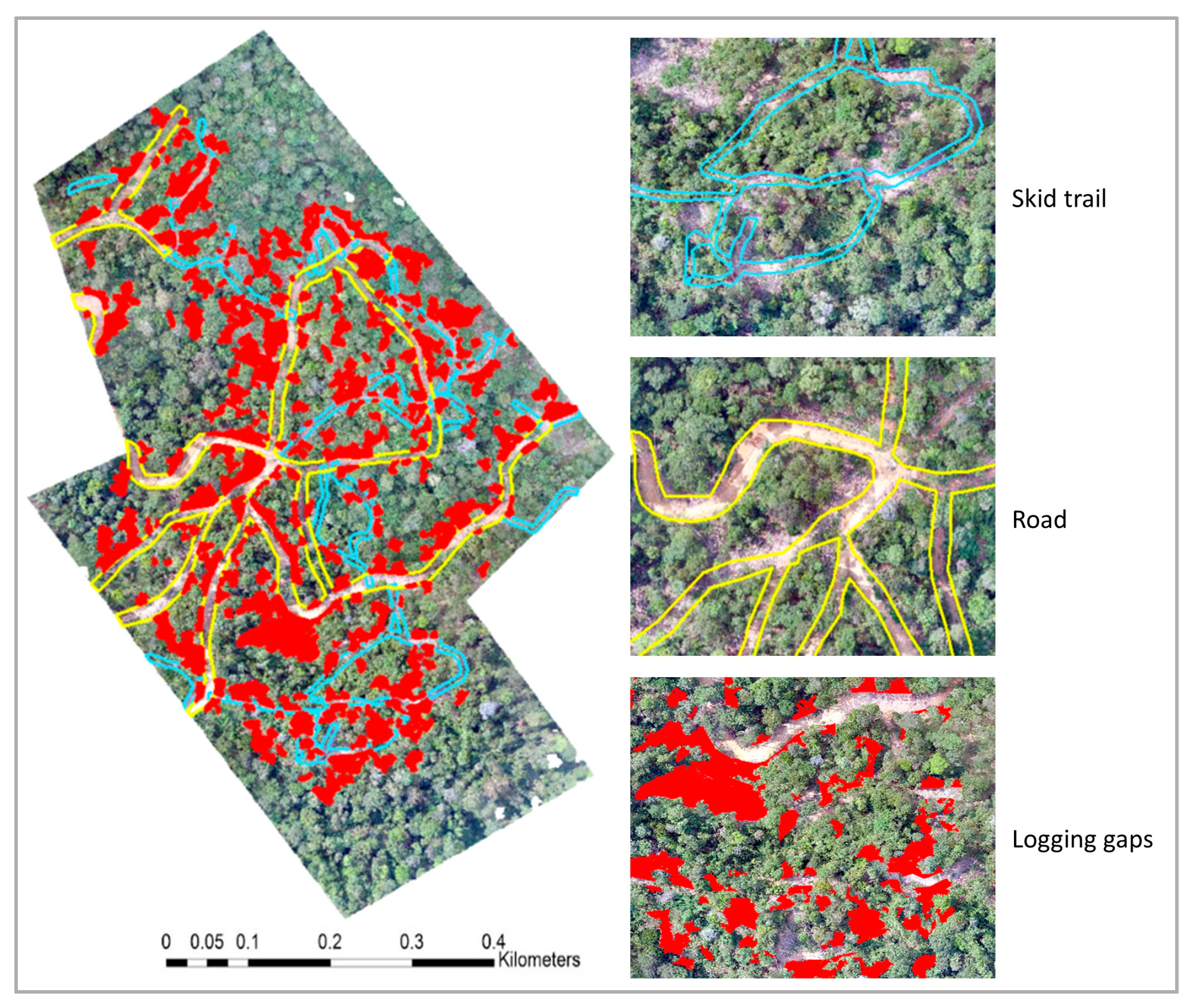Remotesensing 15 01016 g005