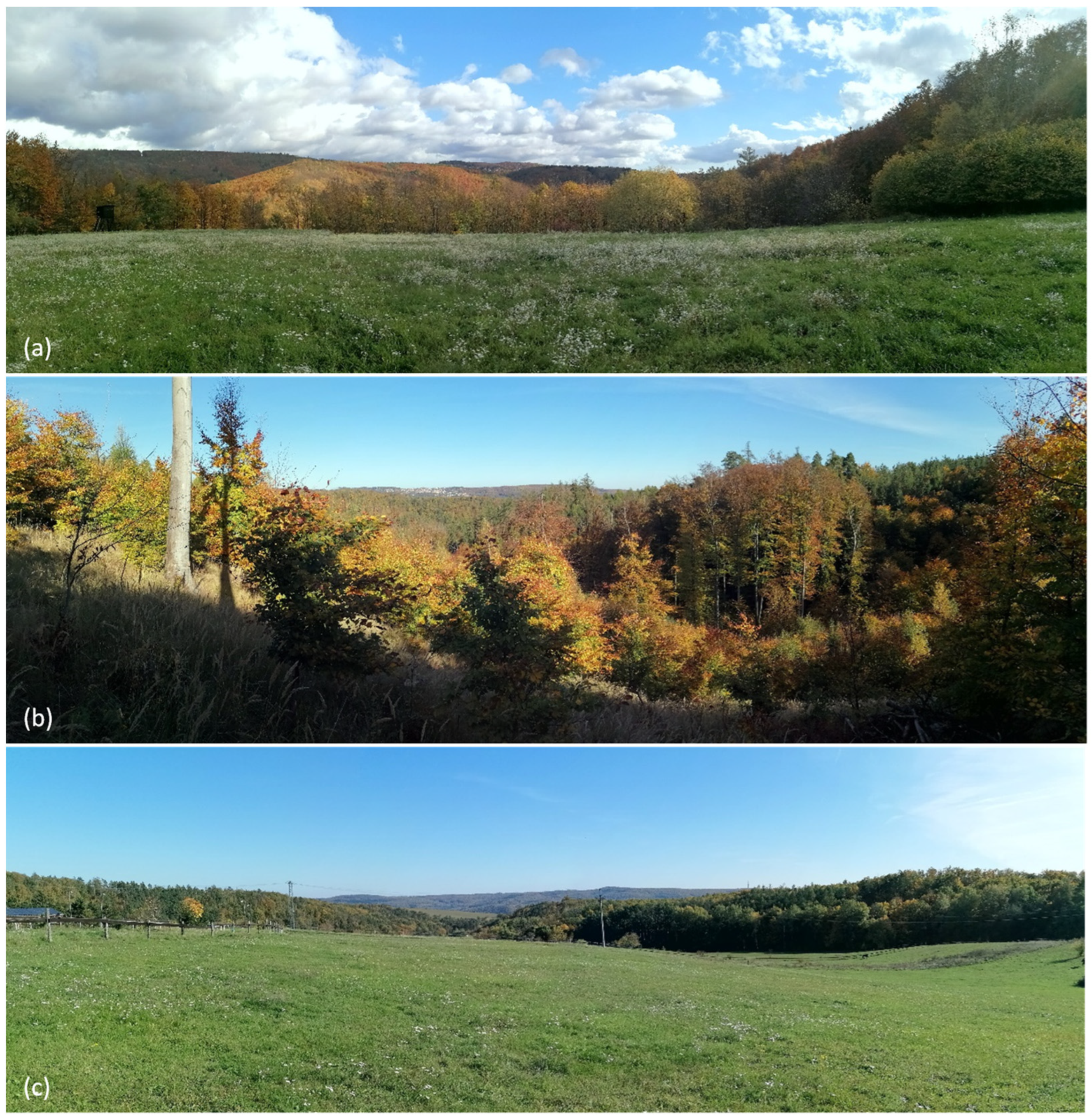 Remotesensing 15 01028 g003 Remotesensing 15 01028 g003