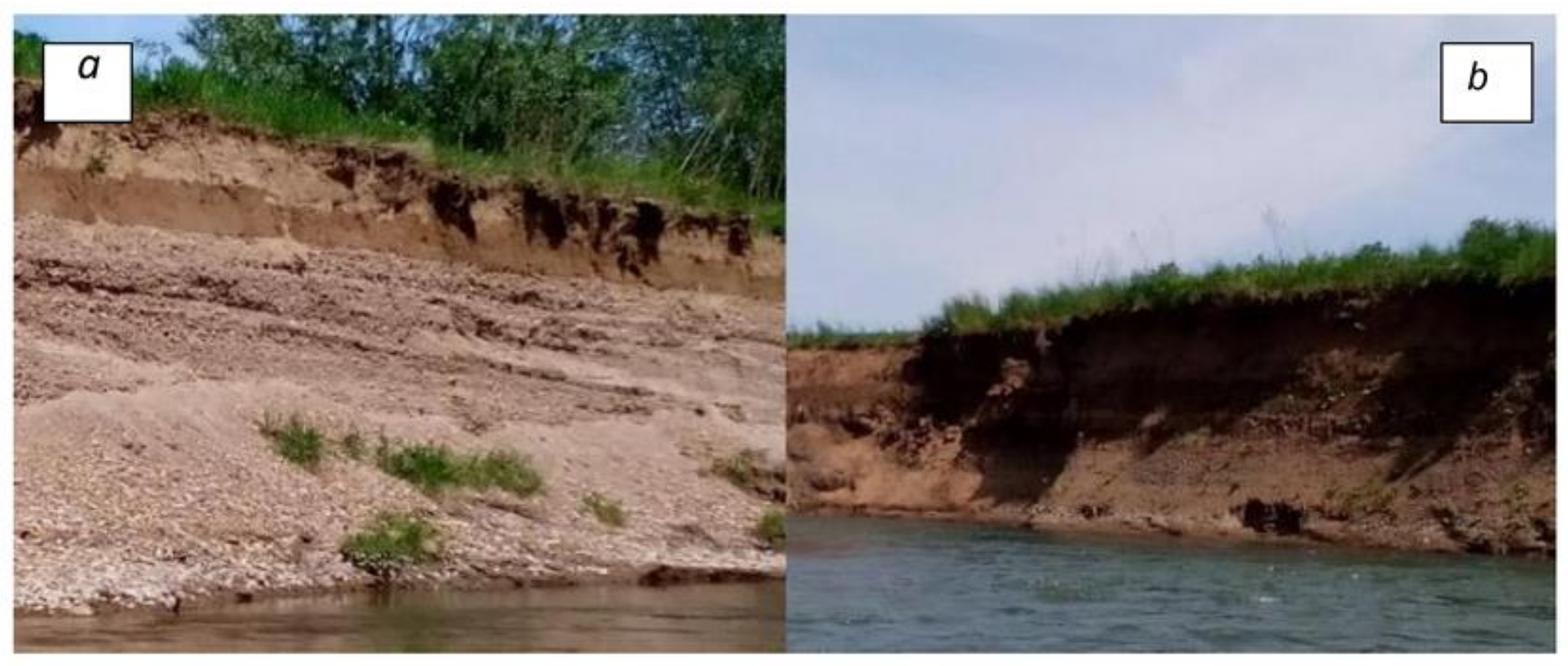 Remotesensing 15 01071 g004