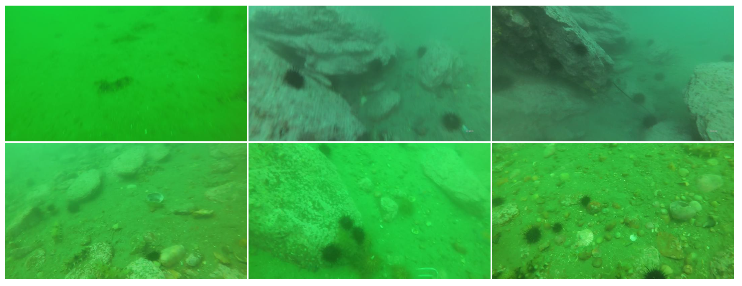 Remotesensing 15 01076 g006 Remotesensing 15 01076 g006