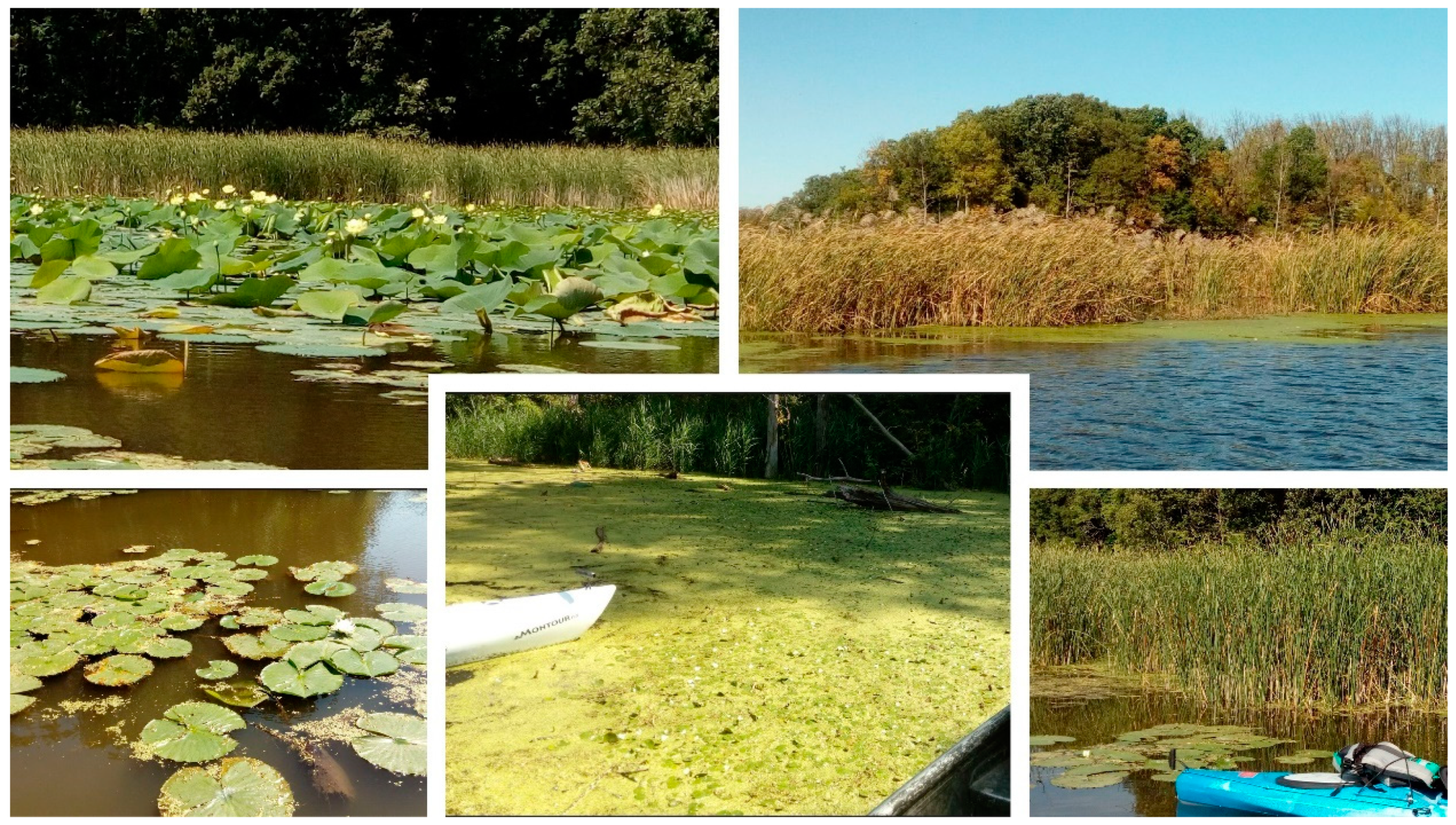 Remotesensing 15 01090 g003