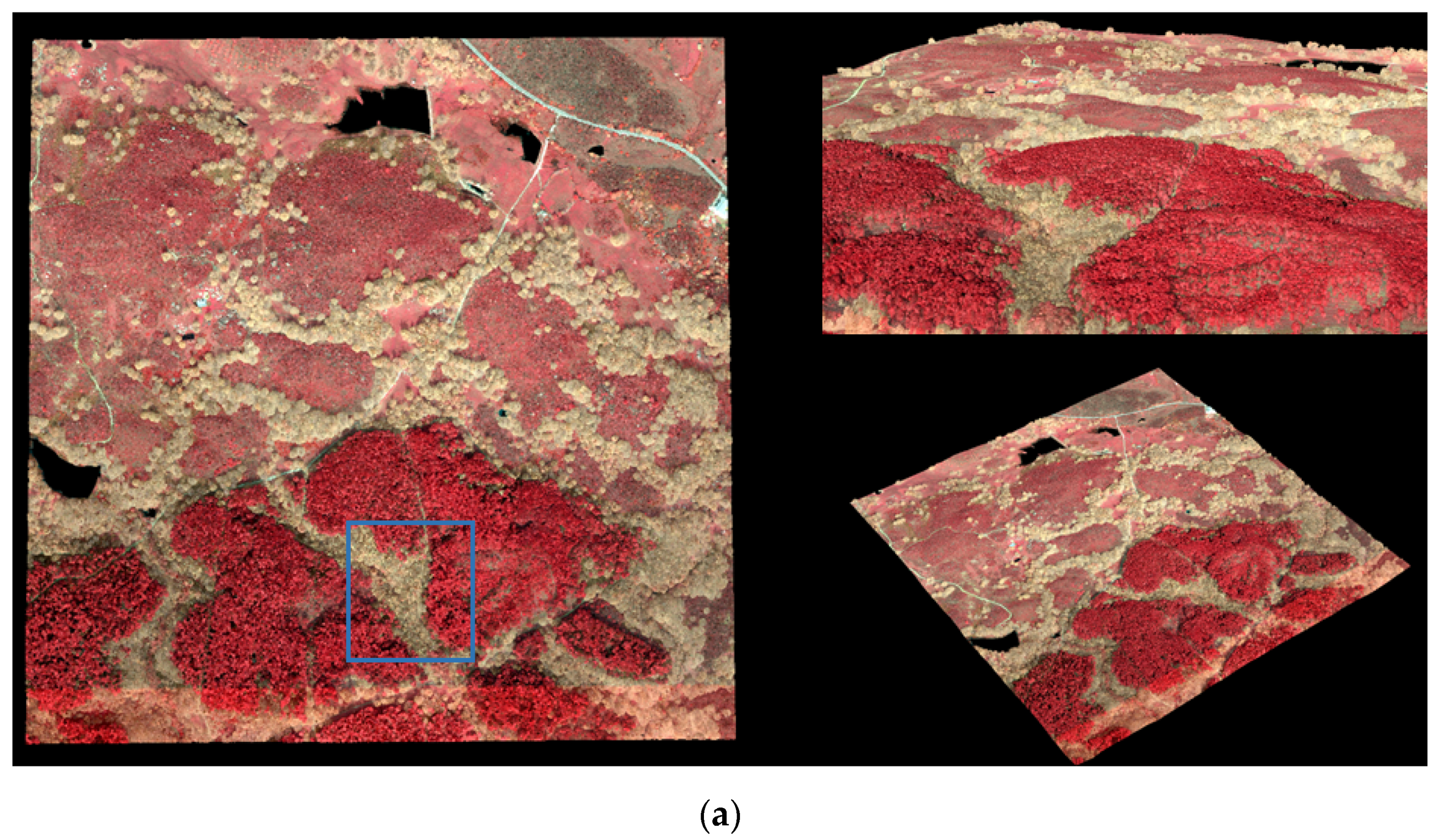 Remotesensing 15 01169 g004a
