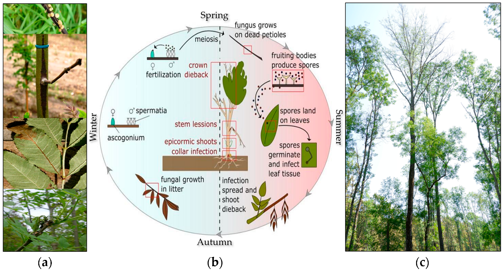 Remotesensing 15 01178 g002
