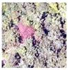 Remotesensing 15 01181 i001