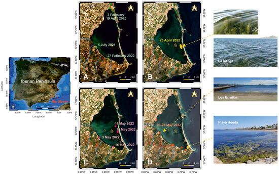 graphic_overview