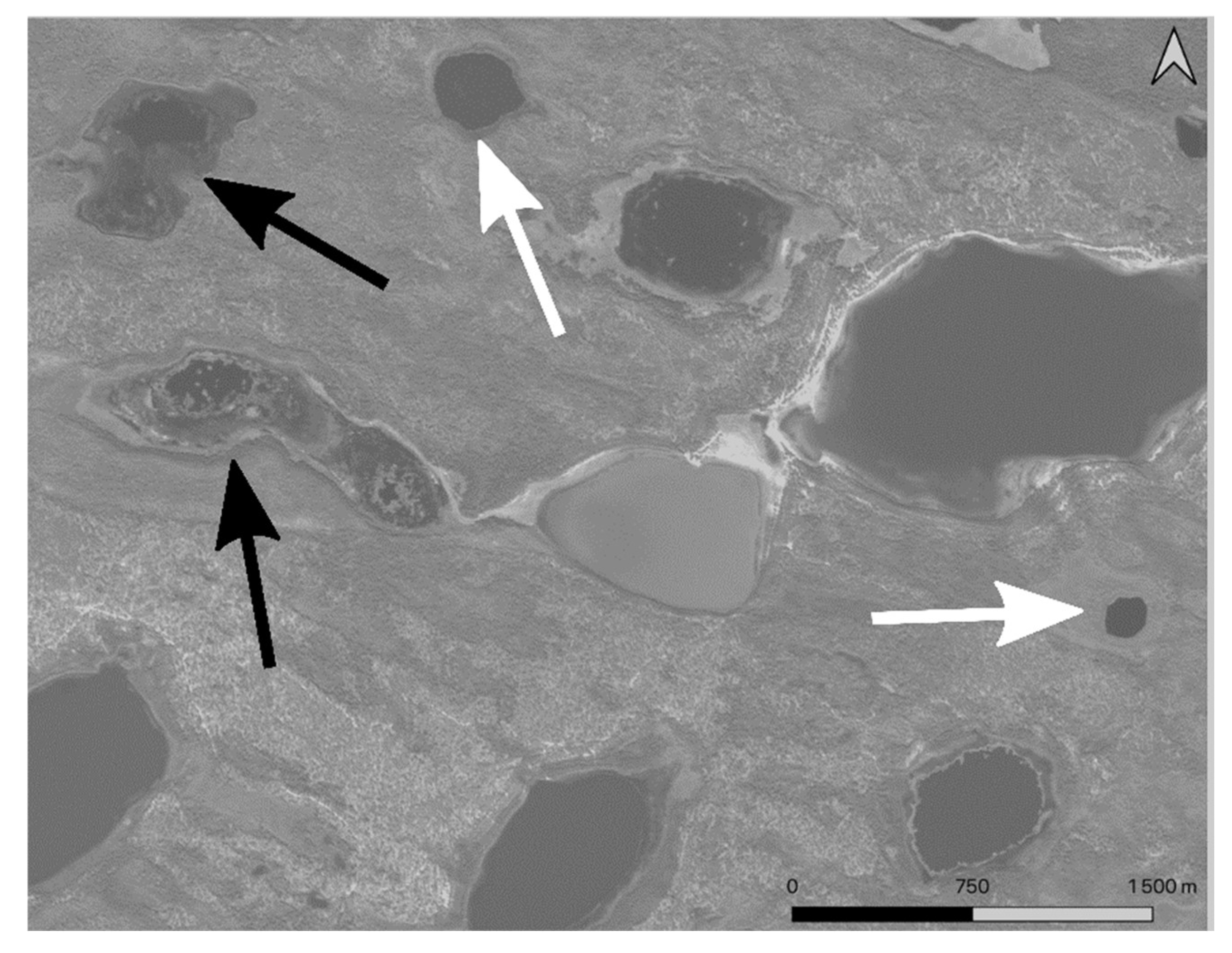 Remotesensing 15 01226 g003 Remotesensing 15 01226 g003