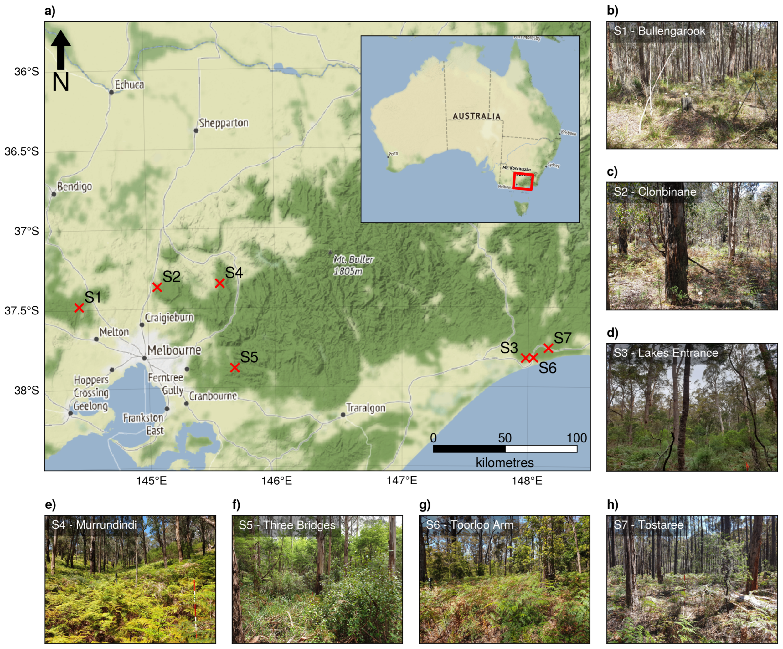 Remotesensing 15 01273 g001 Remotesensing 15 01273 g001