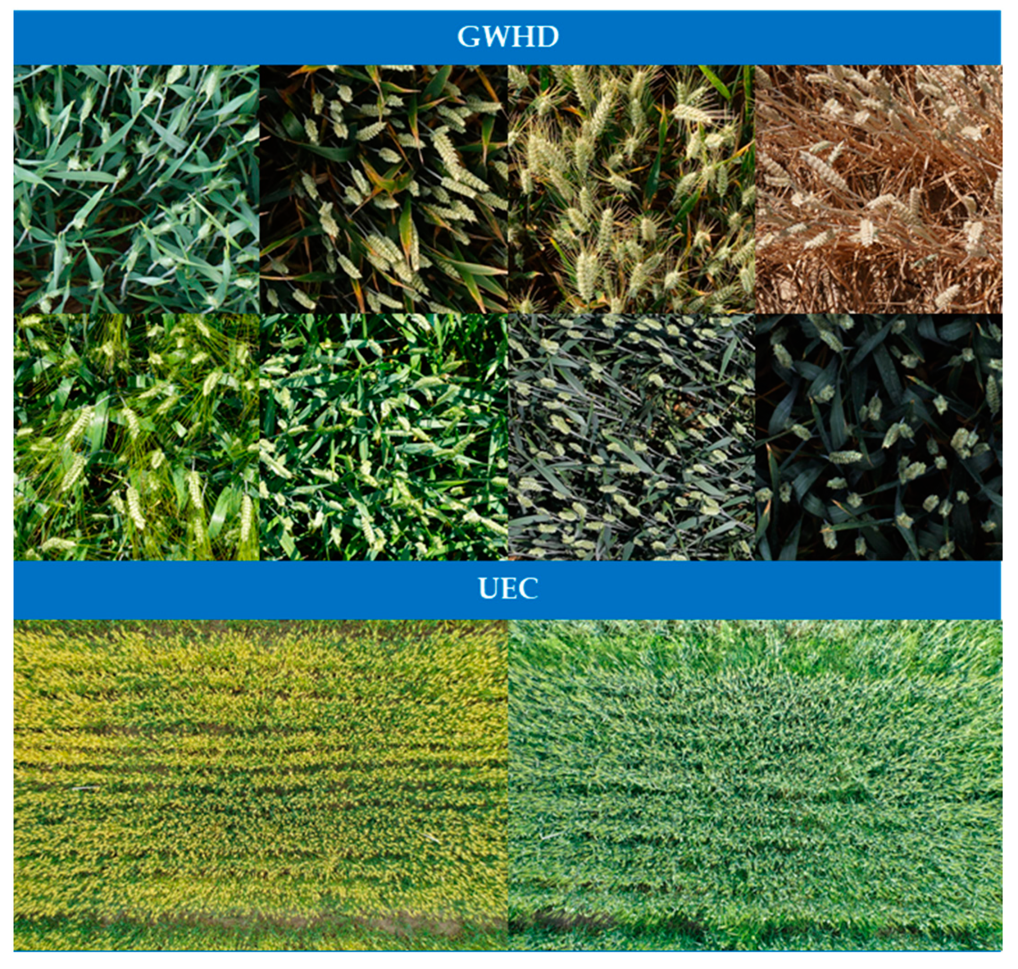 Remotesensing 15 01280 g011 Remotesensing 15 01280 g011