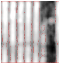 Remotesensing 15 01309 i031