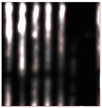 Remotesensing 15 01309 i041