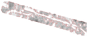 Remotesensing 15 01309 i061