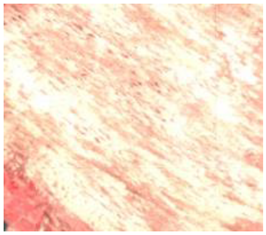 Remotesensing 15 01368 i006 Remotesensing 15 01368 i006