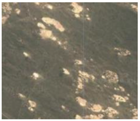 Remotesensing 15 01368 i007 Remotesensing 15 01368 i007