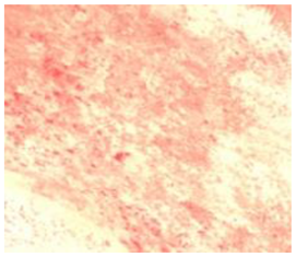 Remotesensing 15 01368 i008 Remotesensing 15 01368 i008