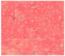 Remotesensing 15 01368 i010 Remotesensing 15 01368 i010