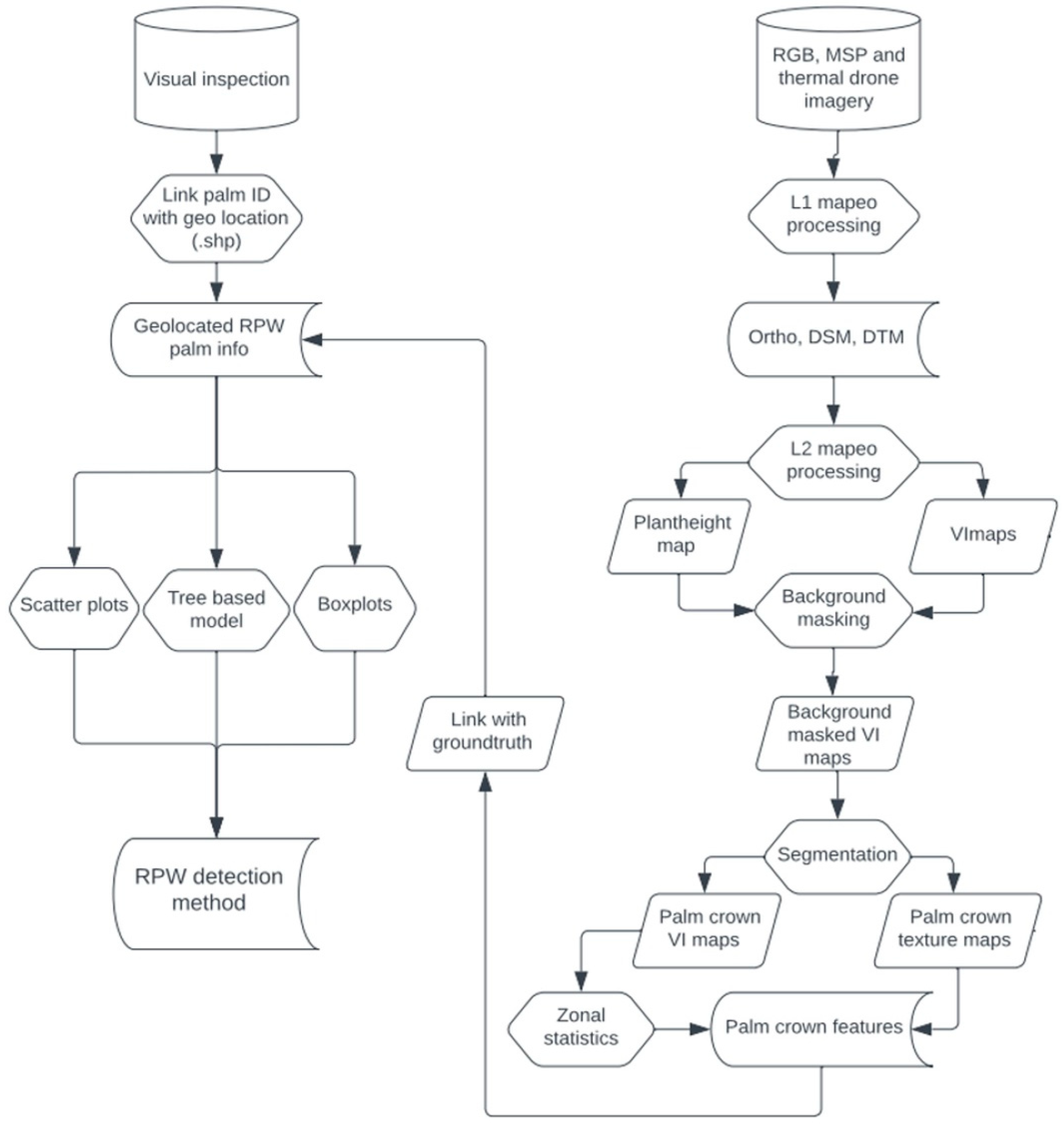 Remote Sensing | Free Full-Text | Red Palm Weevil Detection in Date ...