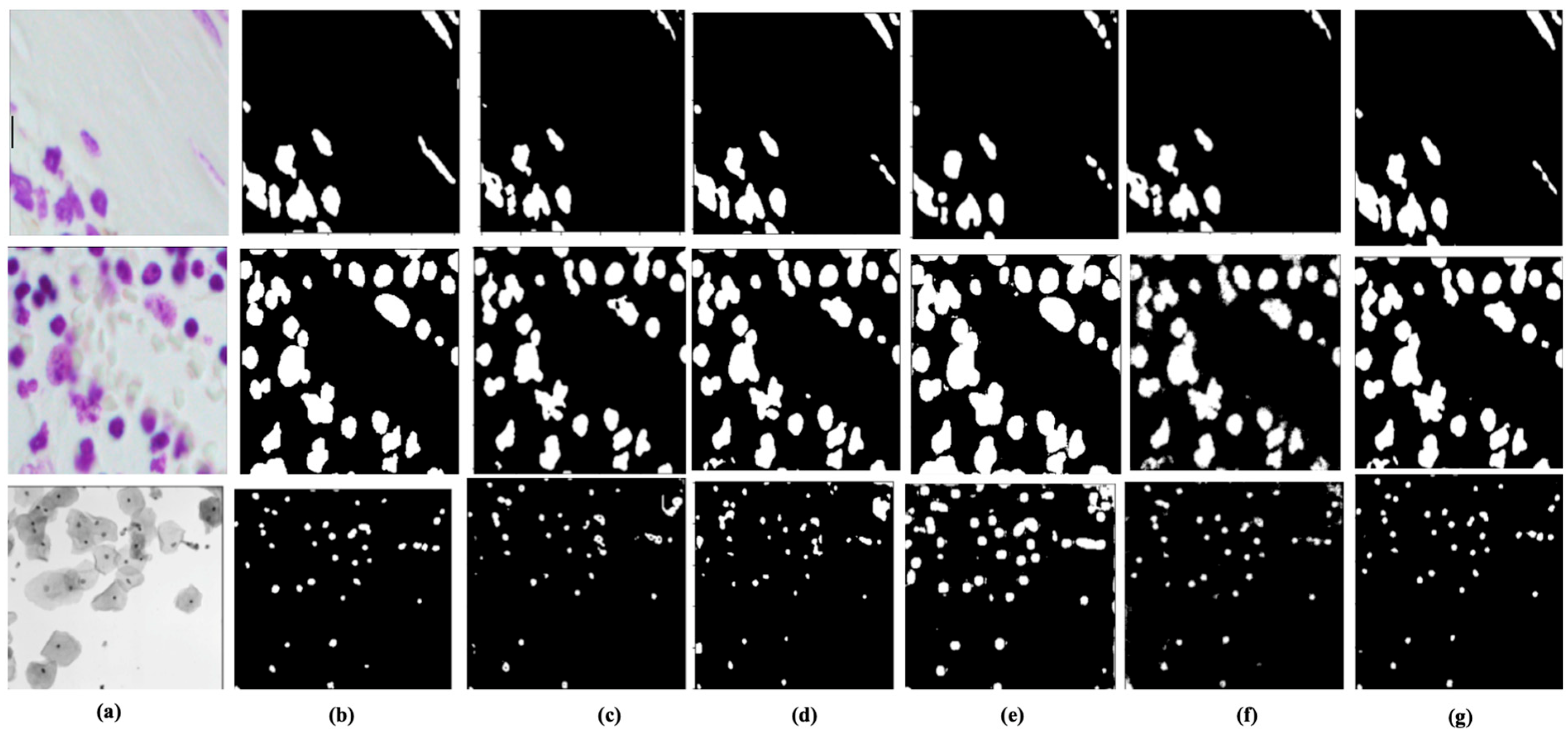 Remotesensing 15 01384 g011