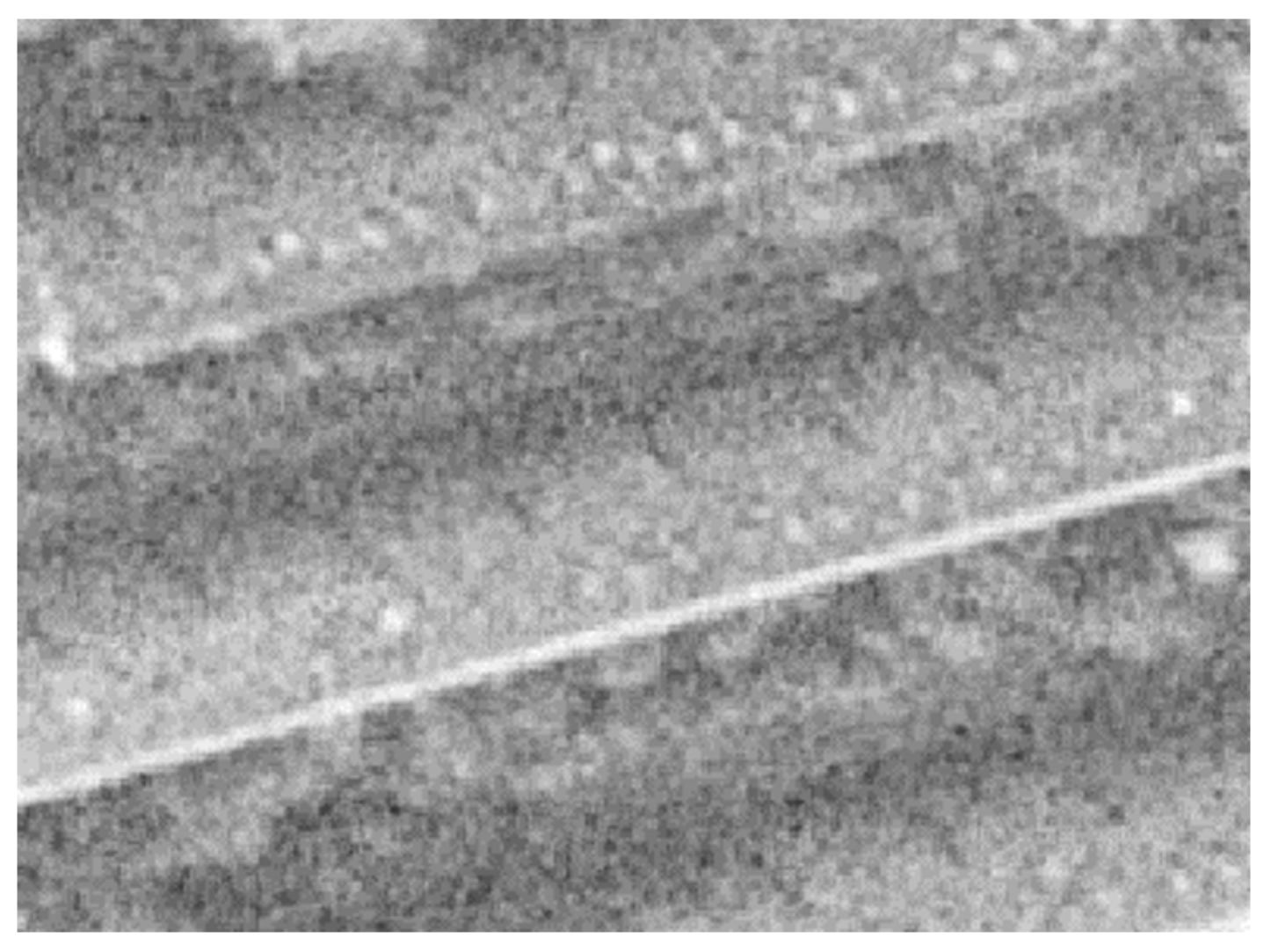 Remotesensing 15 01414 g006