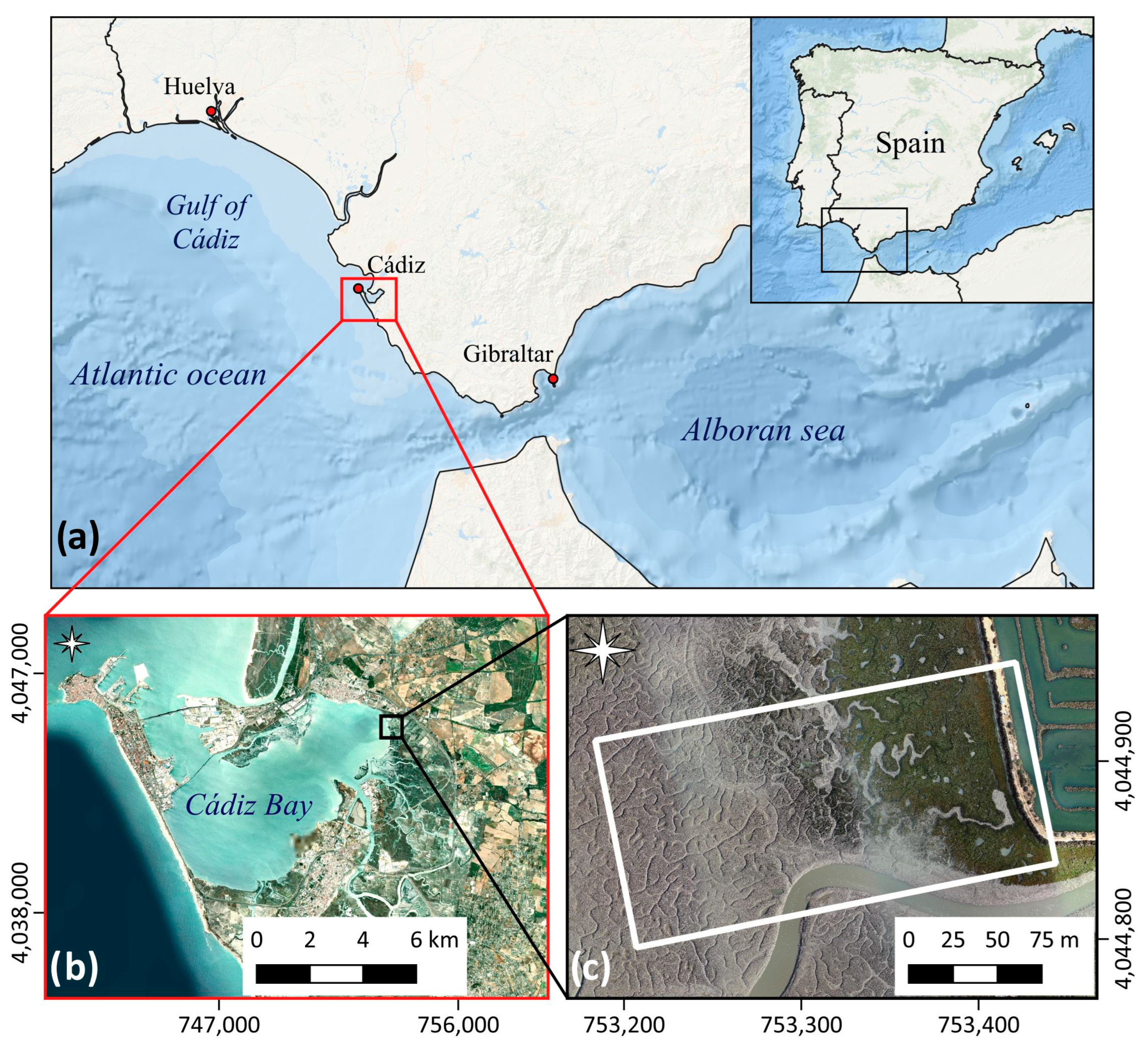 Remotesensing 15 01419 g001