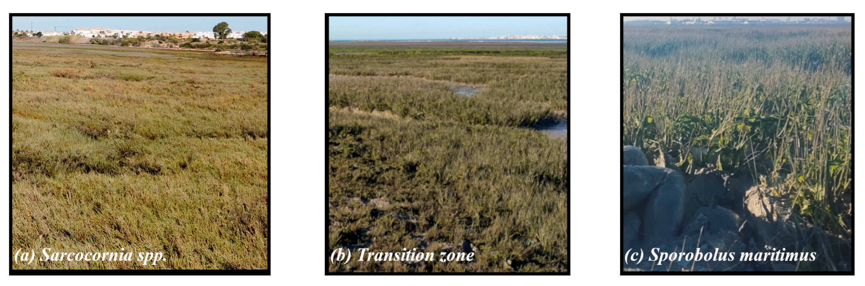 Remotesensing 15 01419 g002