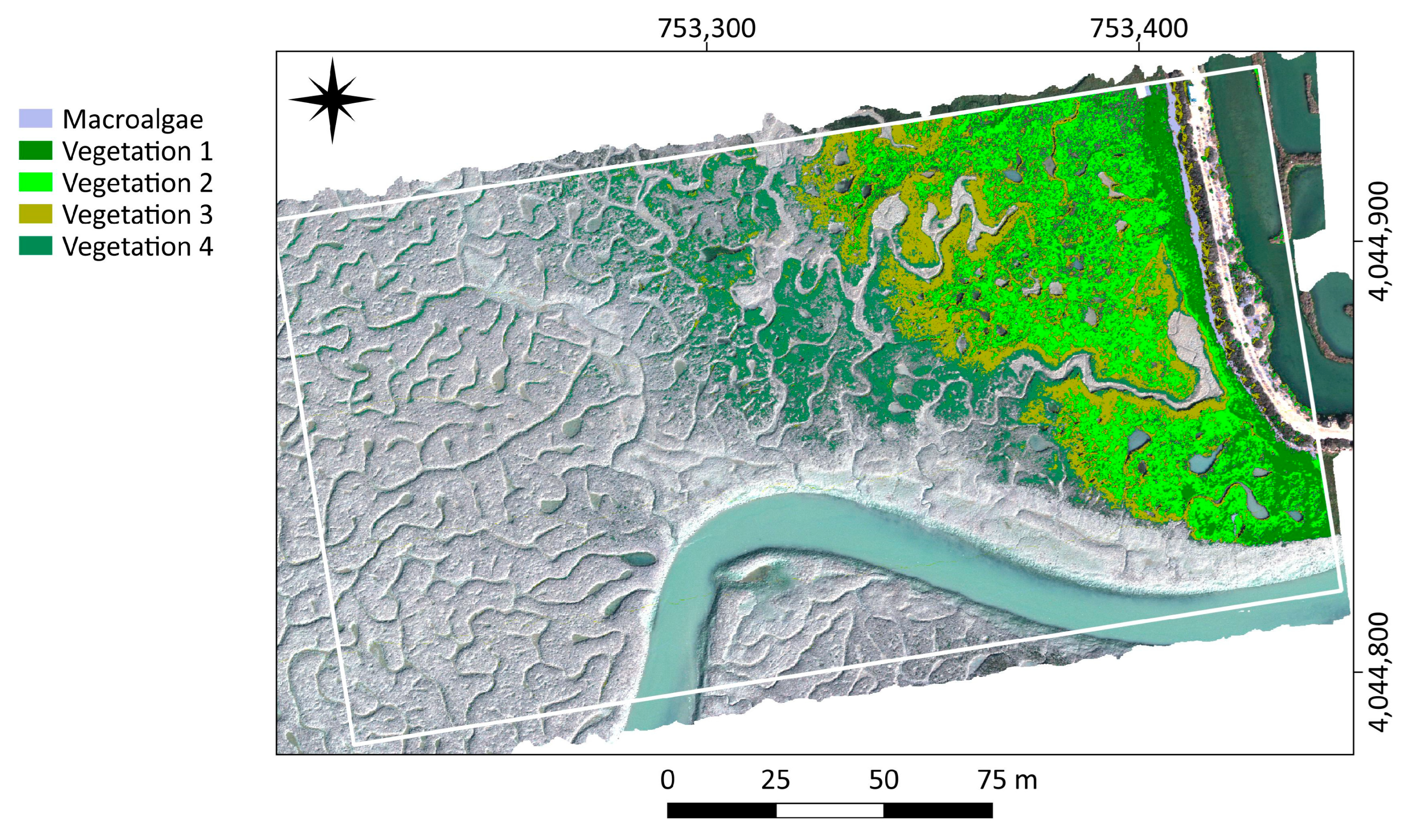 Remotesensing 15 01419 g004