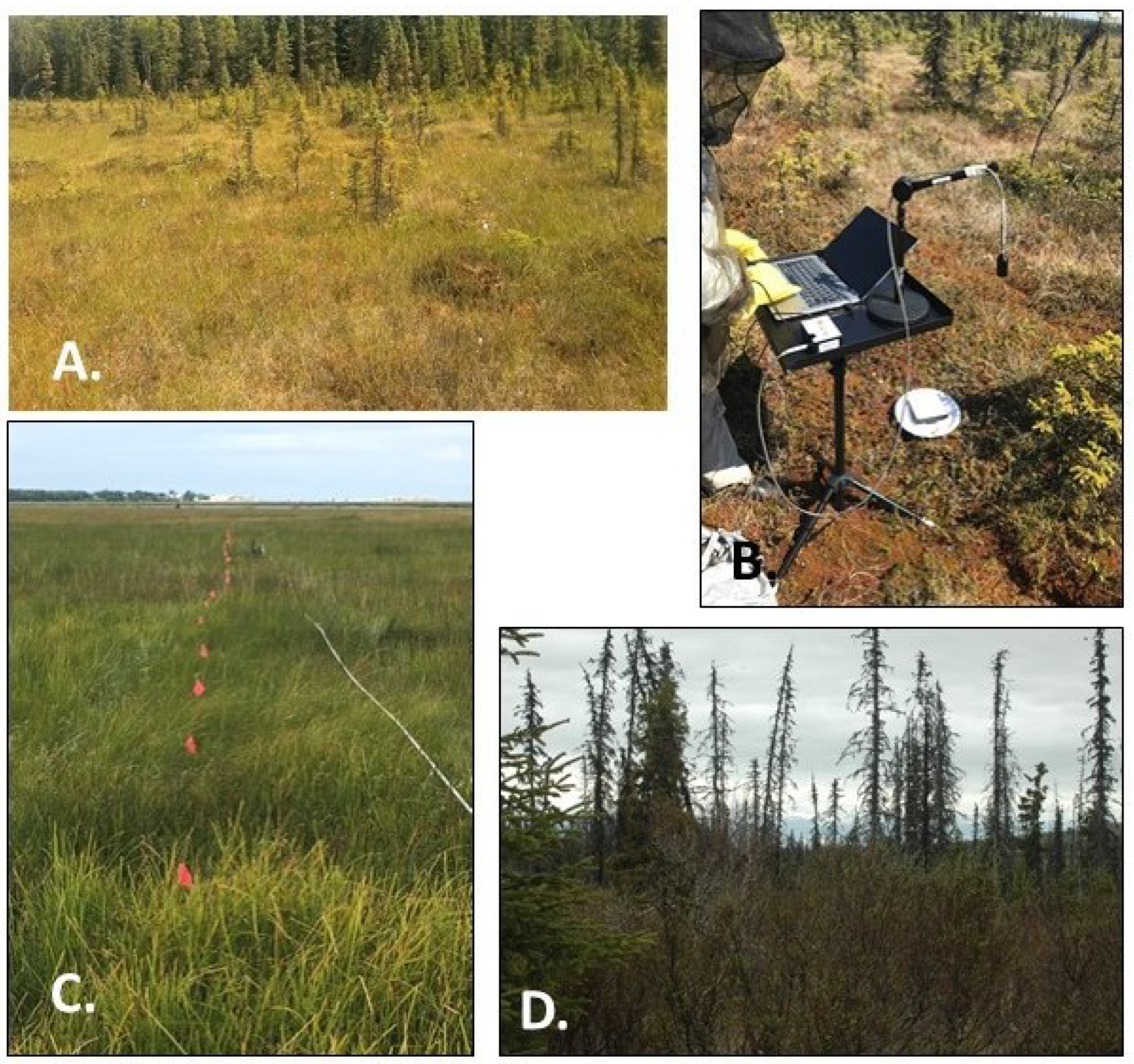 Remotesensing 15 01440 g002