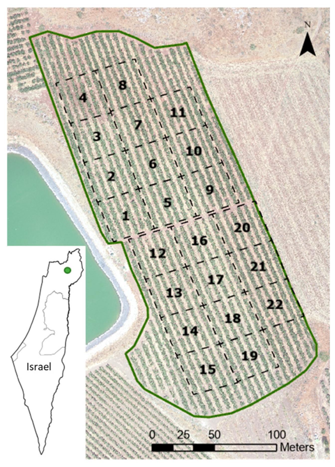 Remotesensing 15 01448 g001 Remotesensing 15 01448 g001