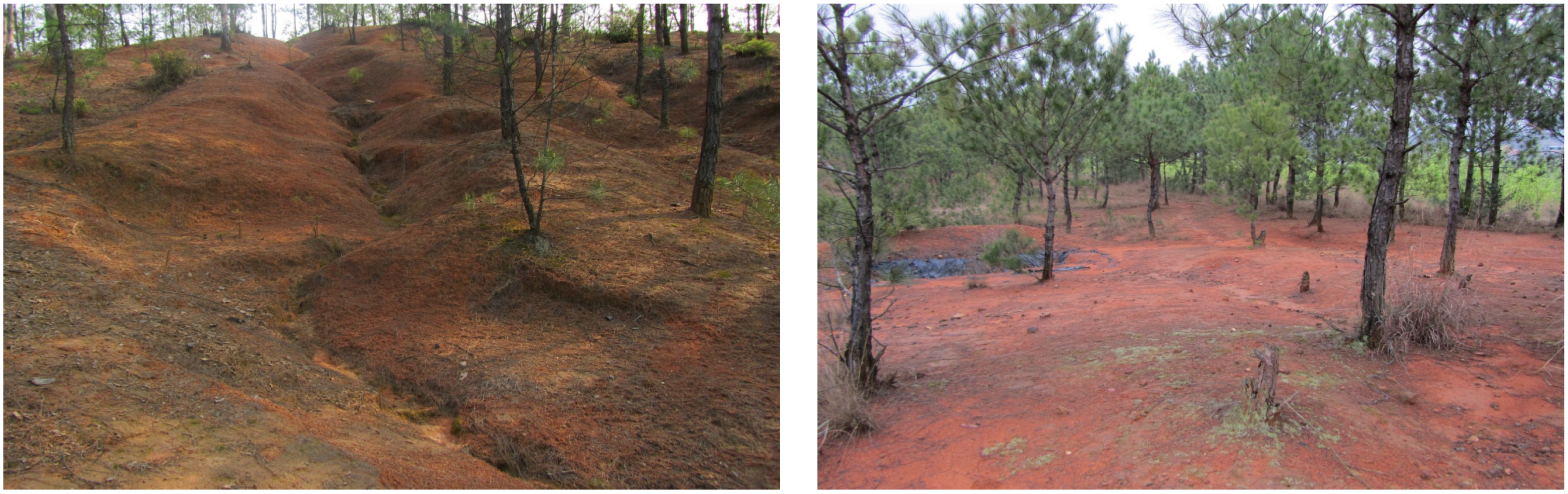 Remotesensing 15 01470 g001 Remotesensing 15 01470 g001