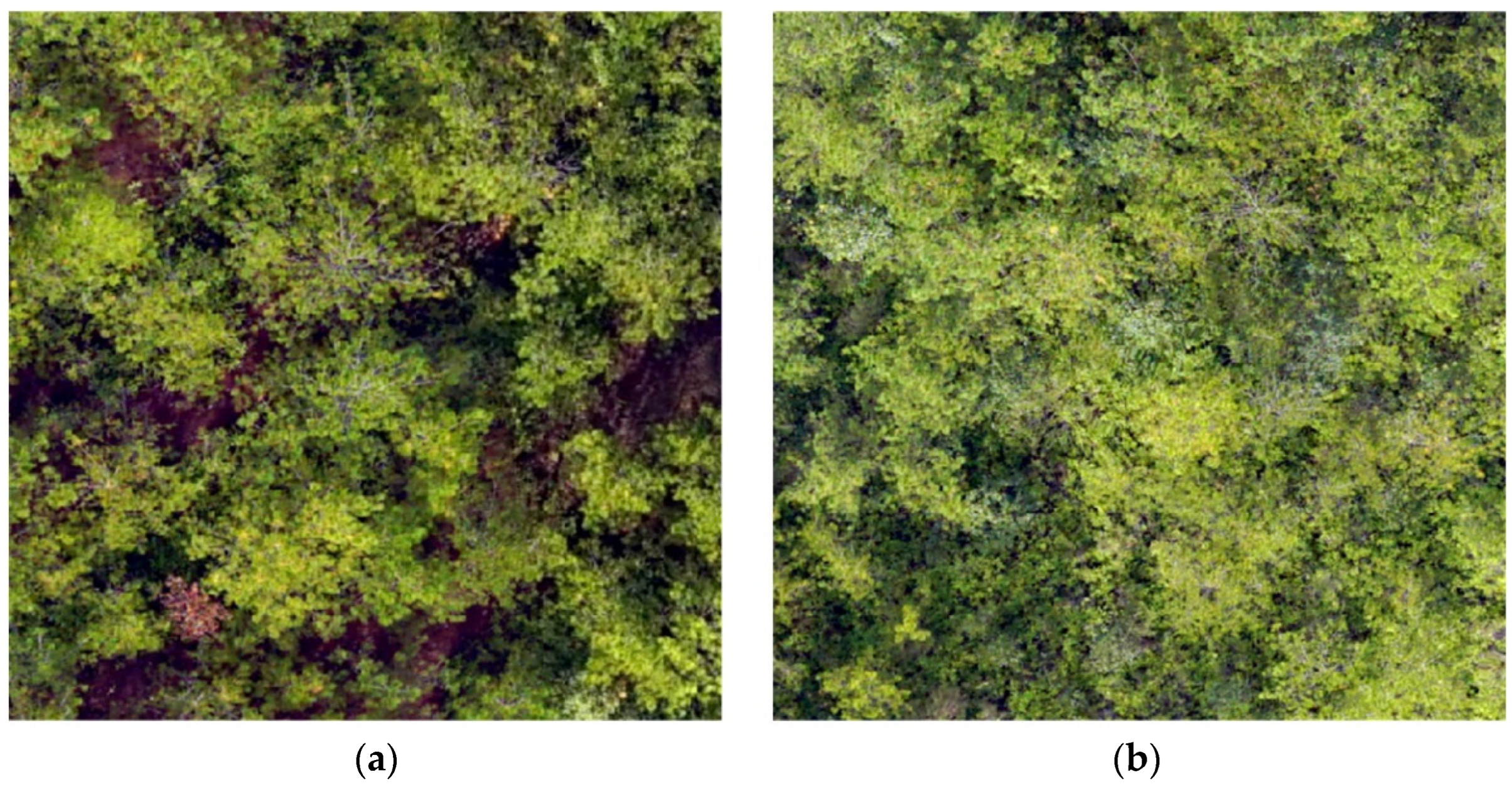 Remotesensing 15 01470 g004 Remotesensing 15 01470 g004