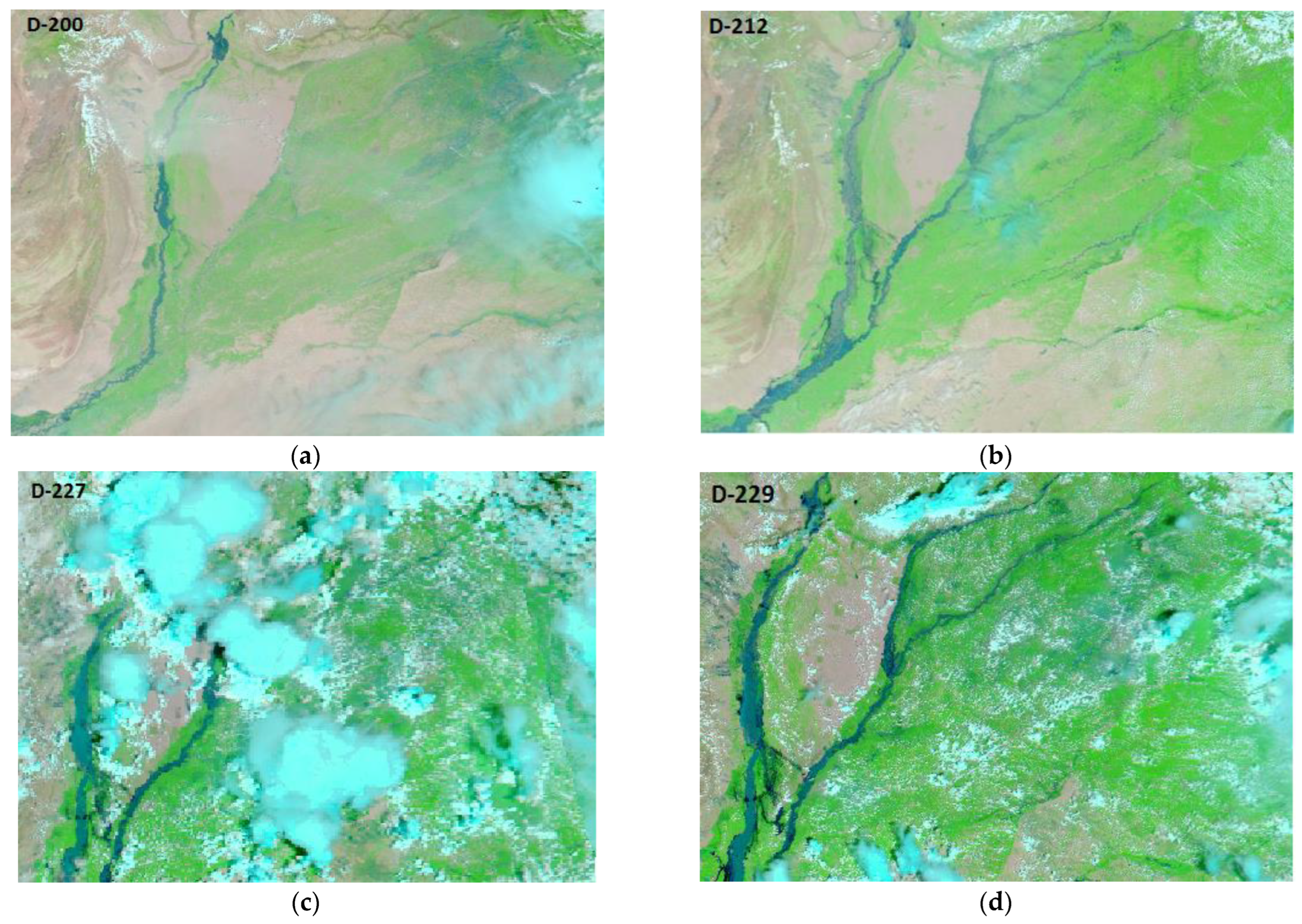 Remotesensing 15 01484 g006