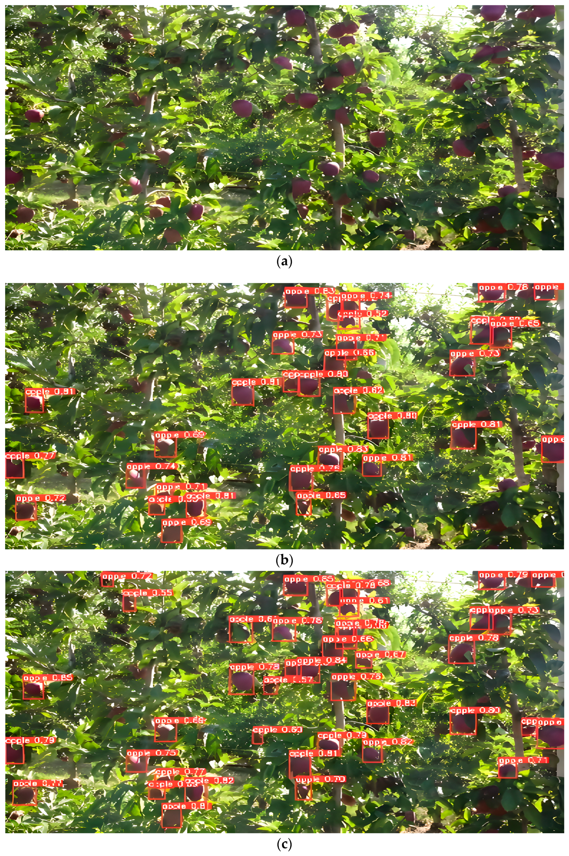 Remotesensing 15 01516 g009a