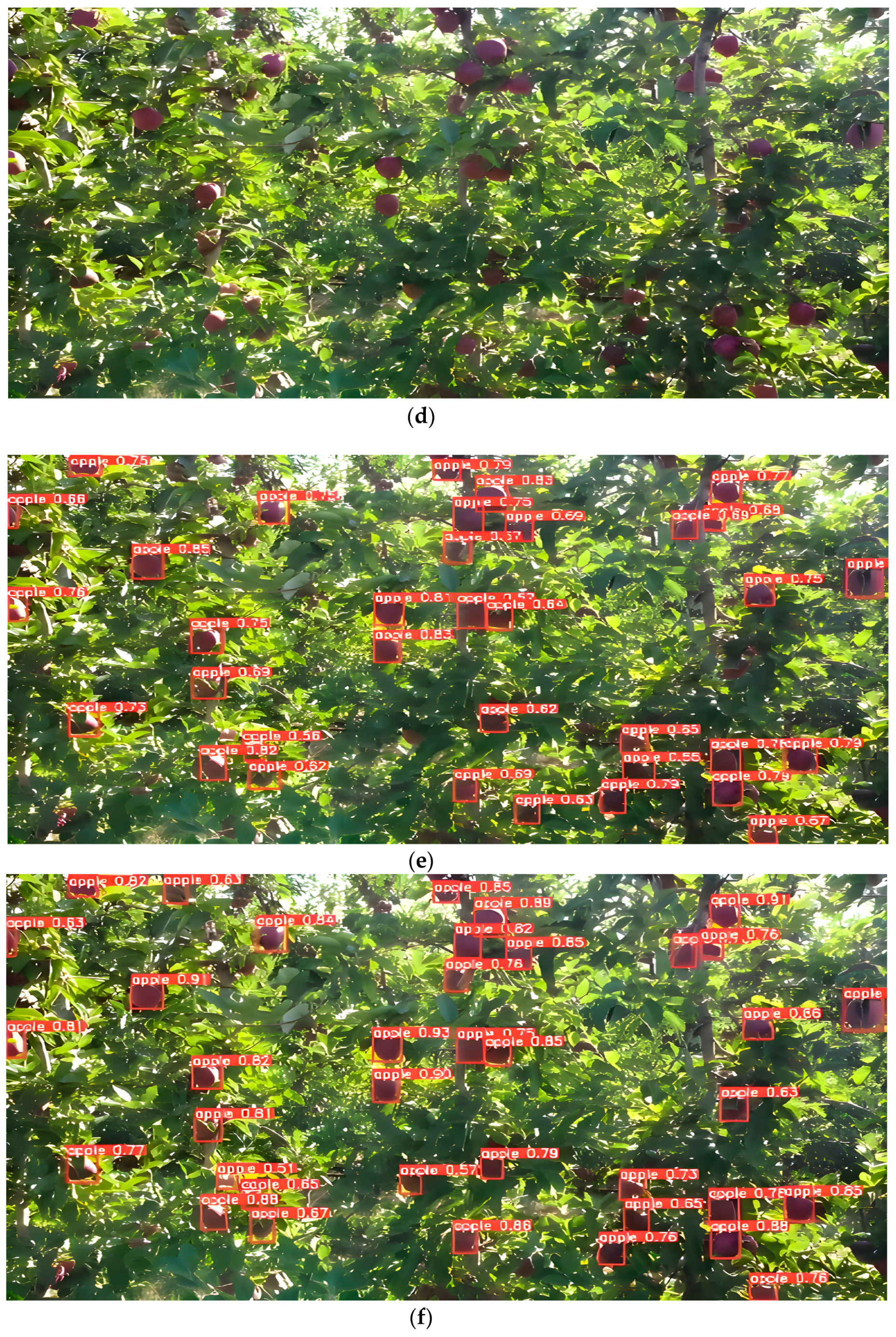 Remotesensing 15 01516 g009b