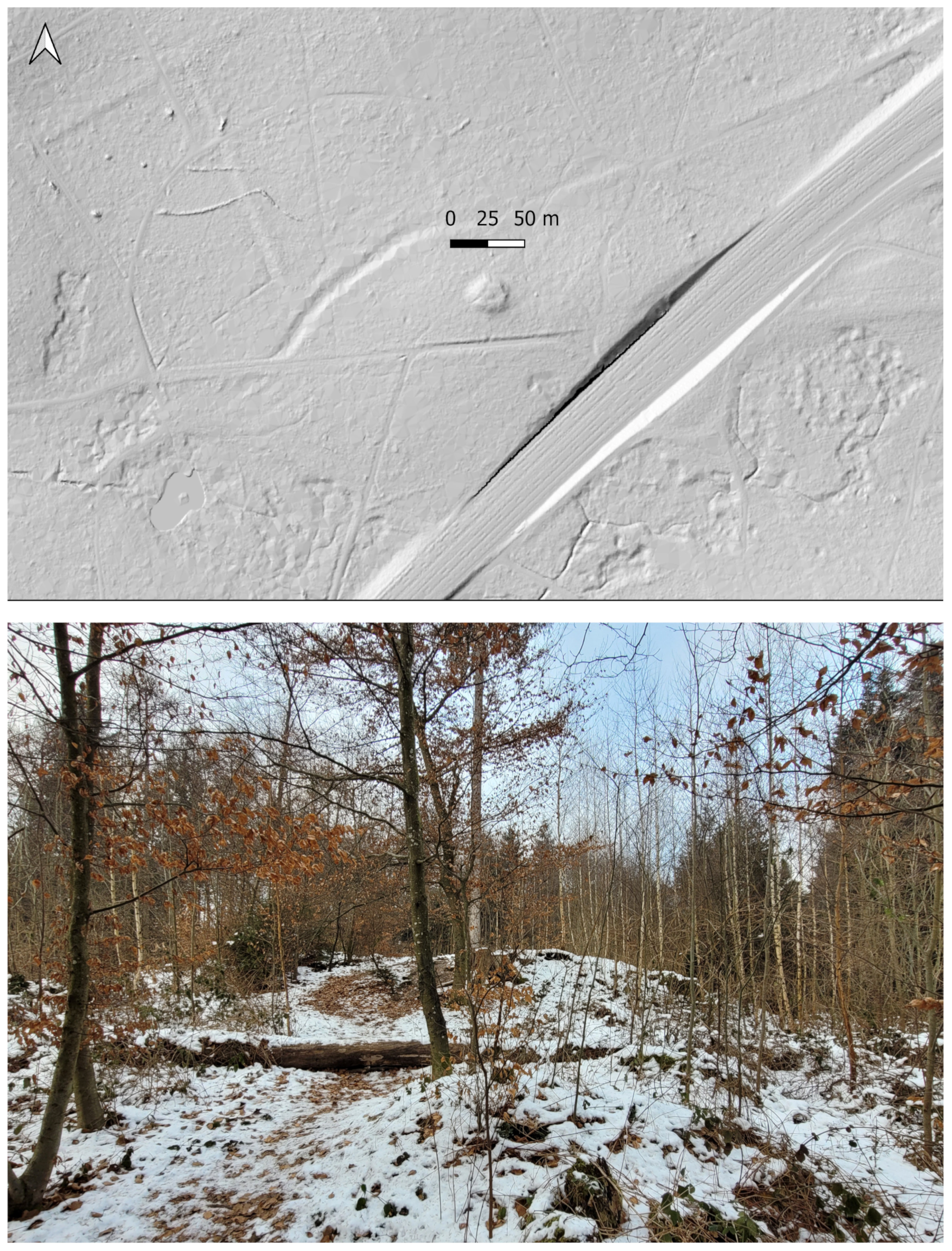 Remotesensing 15 01569 g004