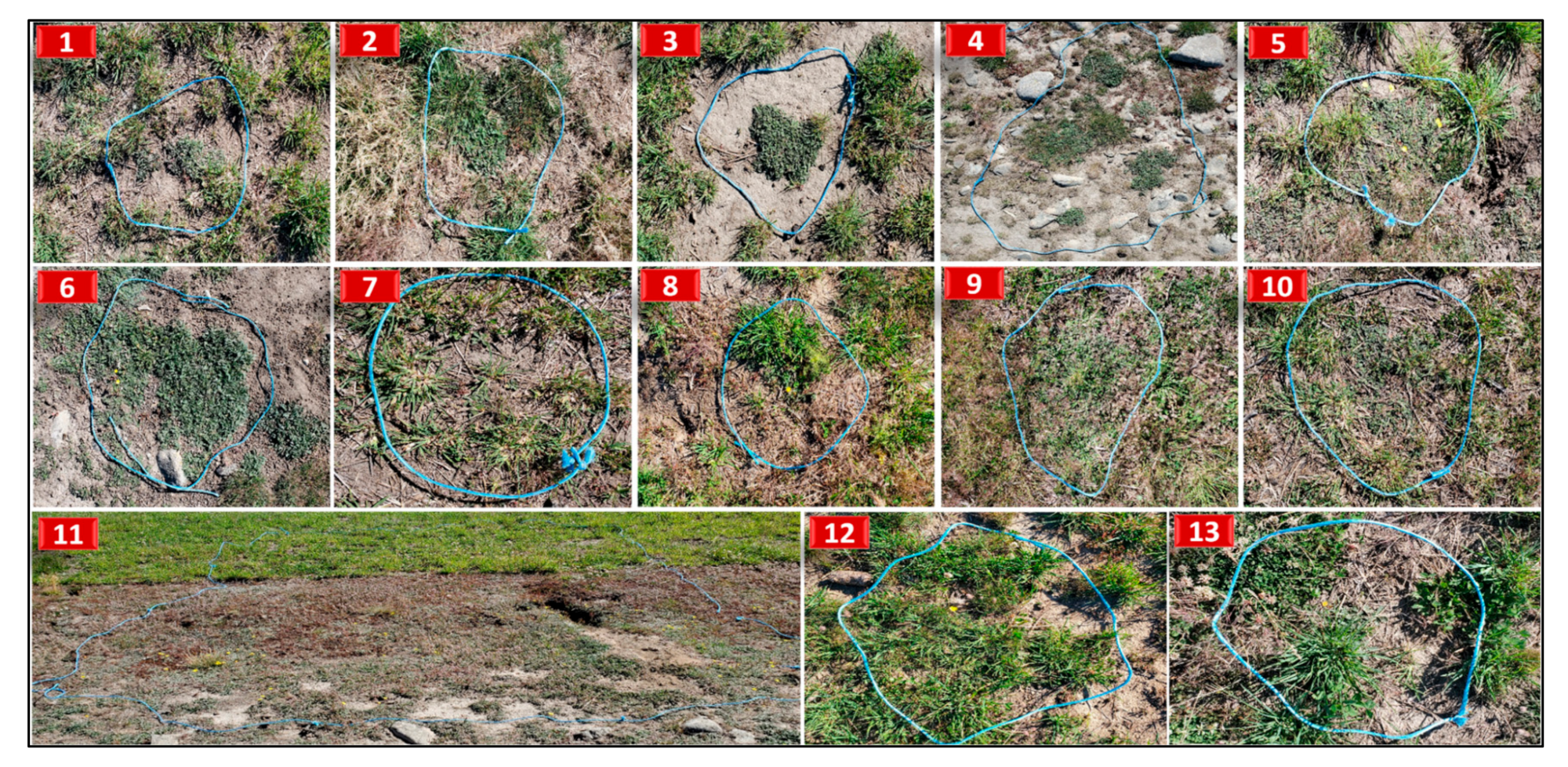 Remotesensing 15 01633 g002 Remotesensing 15 01633 g002