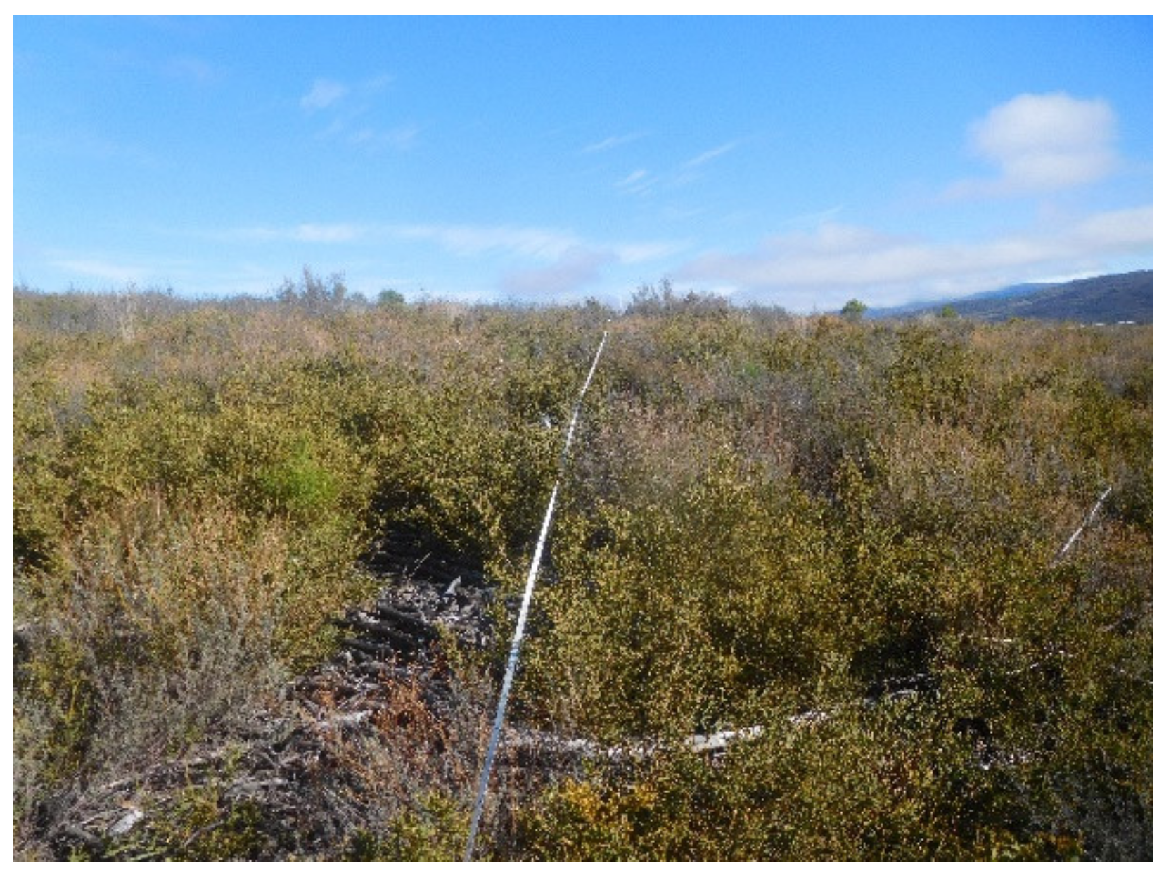 Remotesensing 15 01634 g002 Remotesensing 15 01634 g002