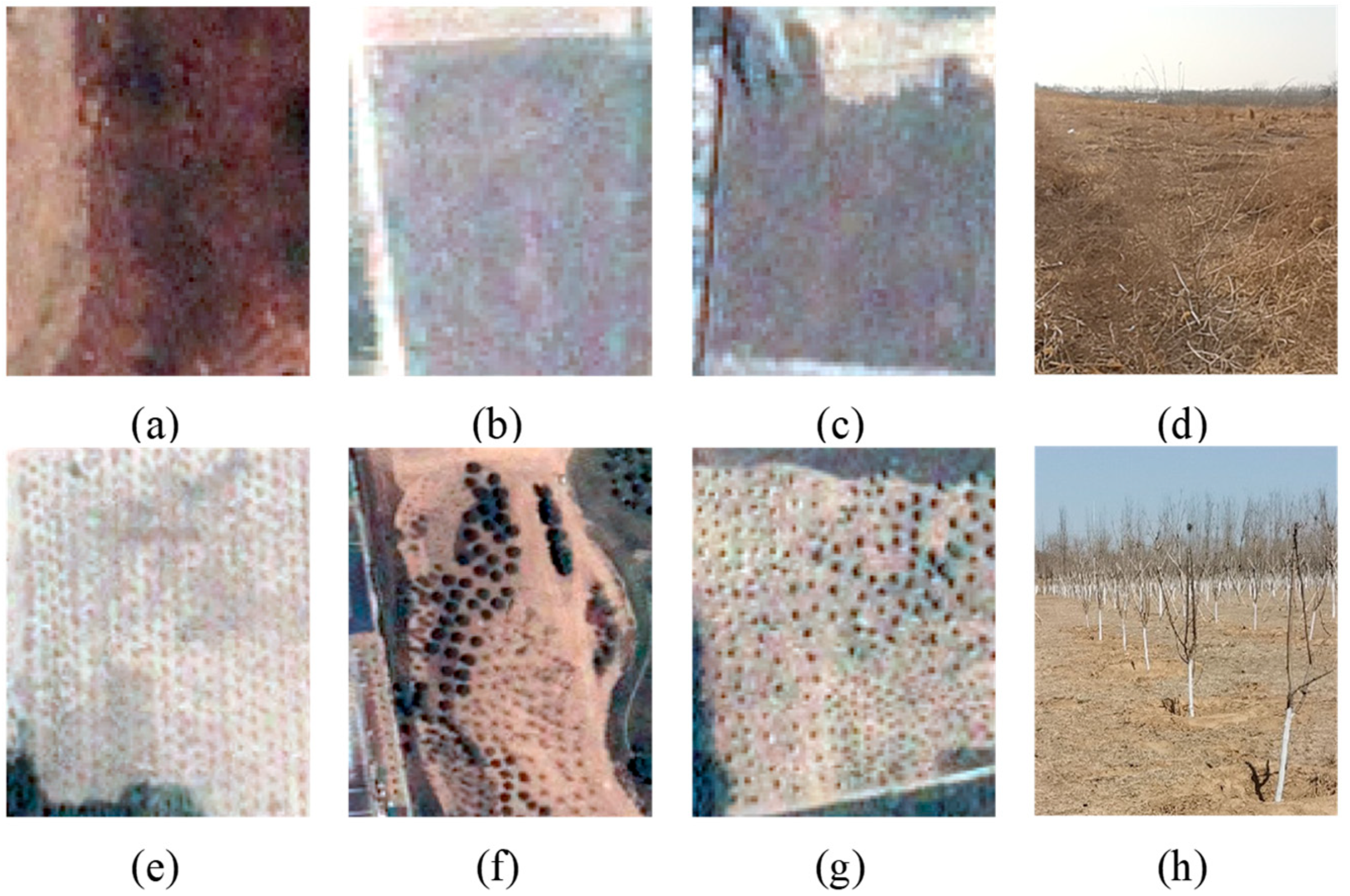 Remotesensing 15 01646 g002