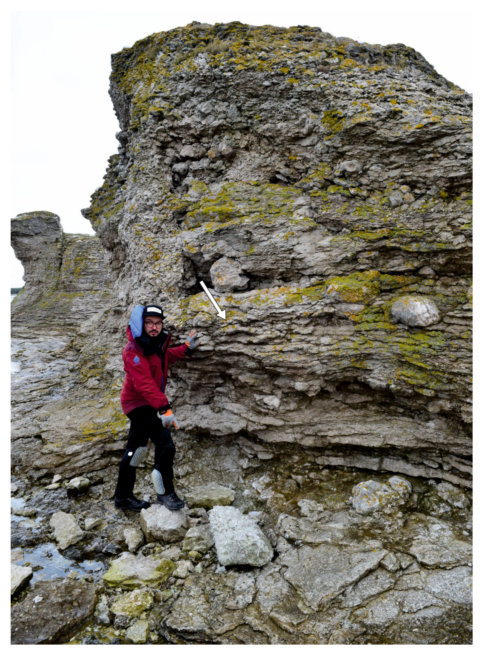 Remotesensing 15 01667 g004 Remotesensing 15 01667 g004