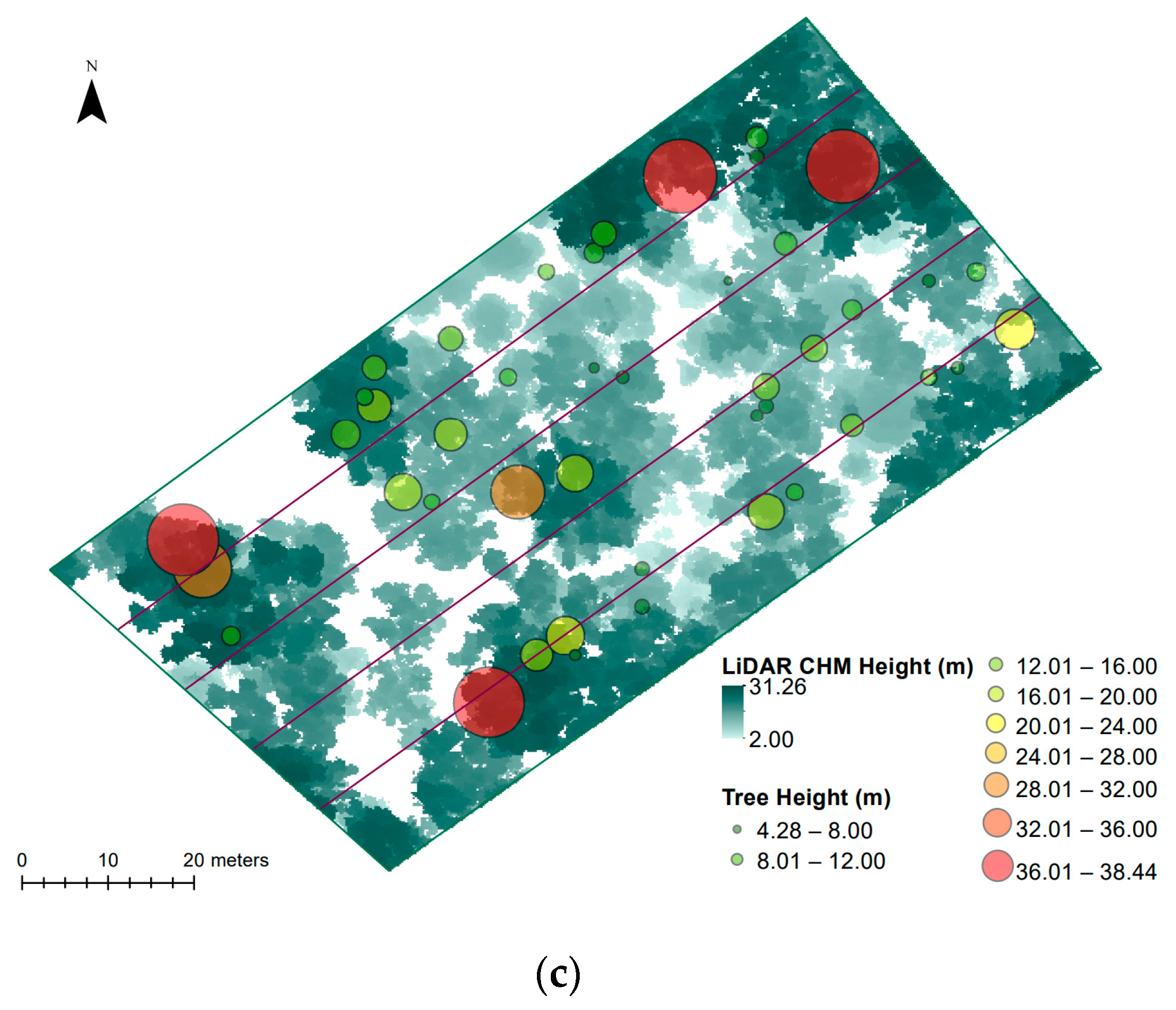 Remotesensing 15 01694 g011b Remotesensing 15 01694 g011b