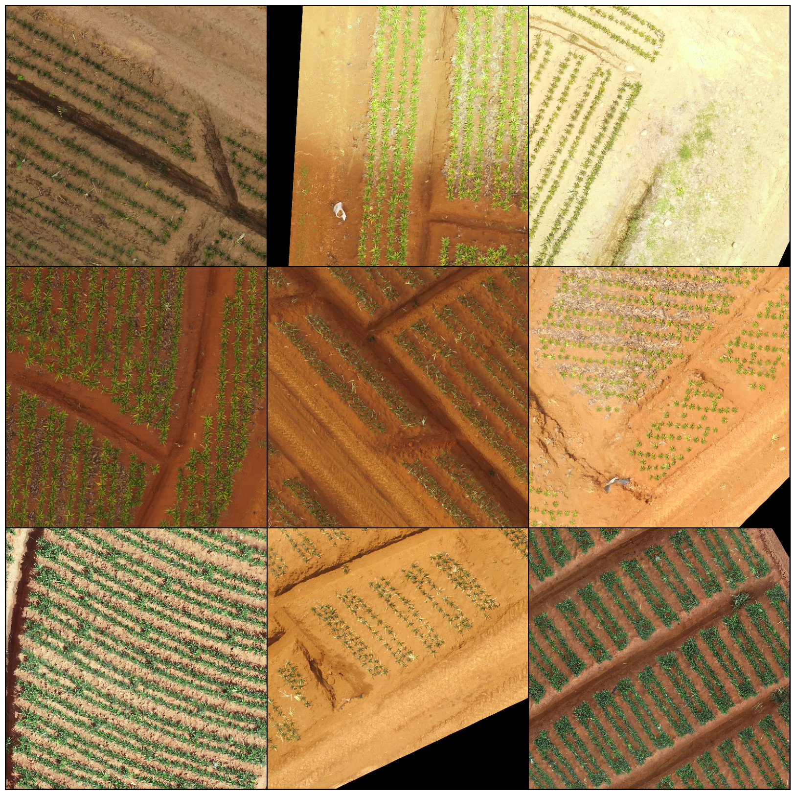 Remotesensing 15 01700 g005