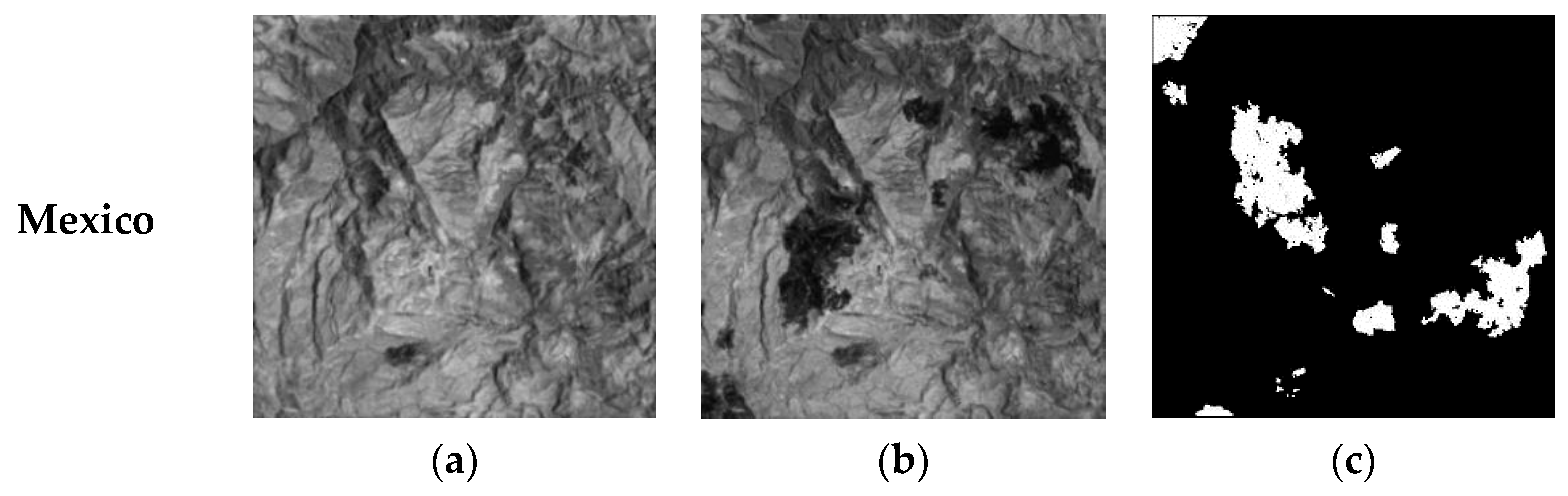 Remotesensing 15 01724 g009