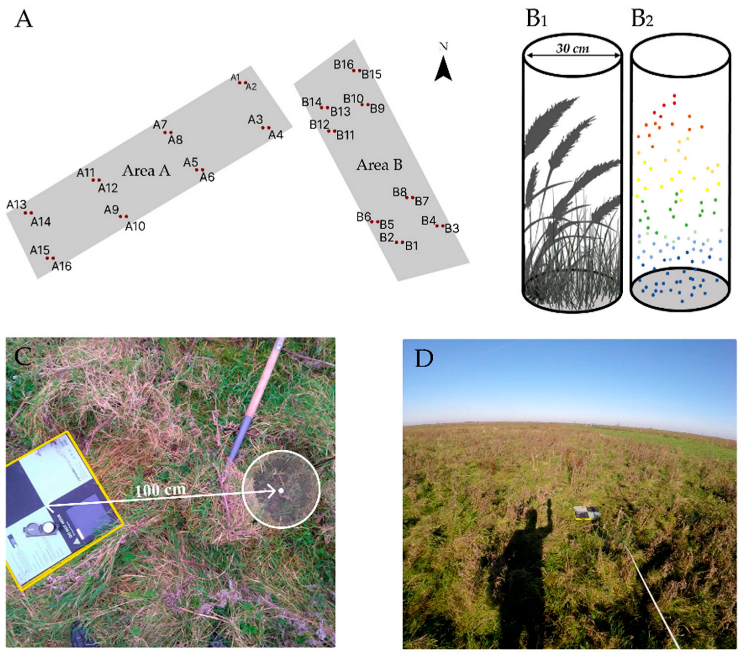 Remotesensing 15 01754 g004