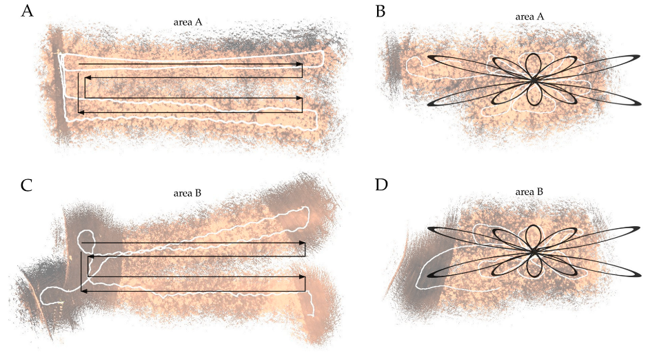 Remotesensing 15 01754 g005