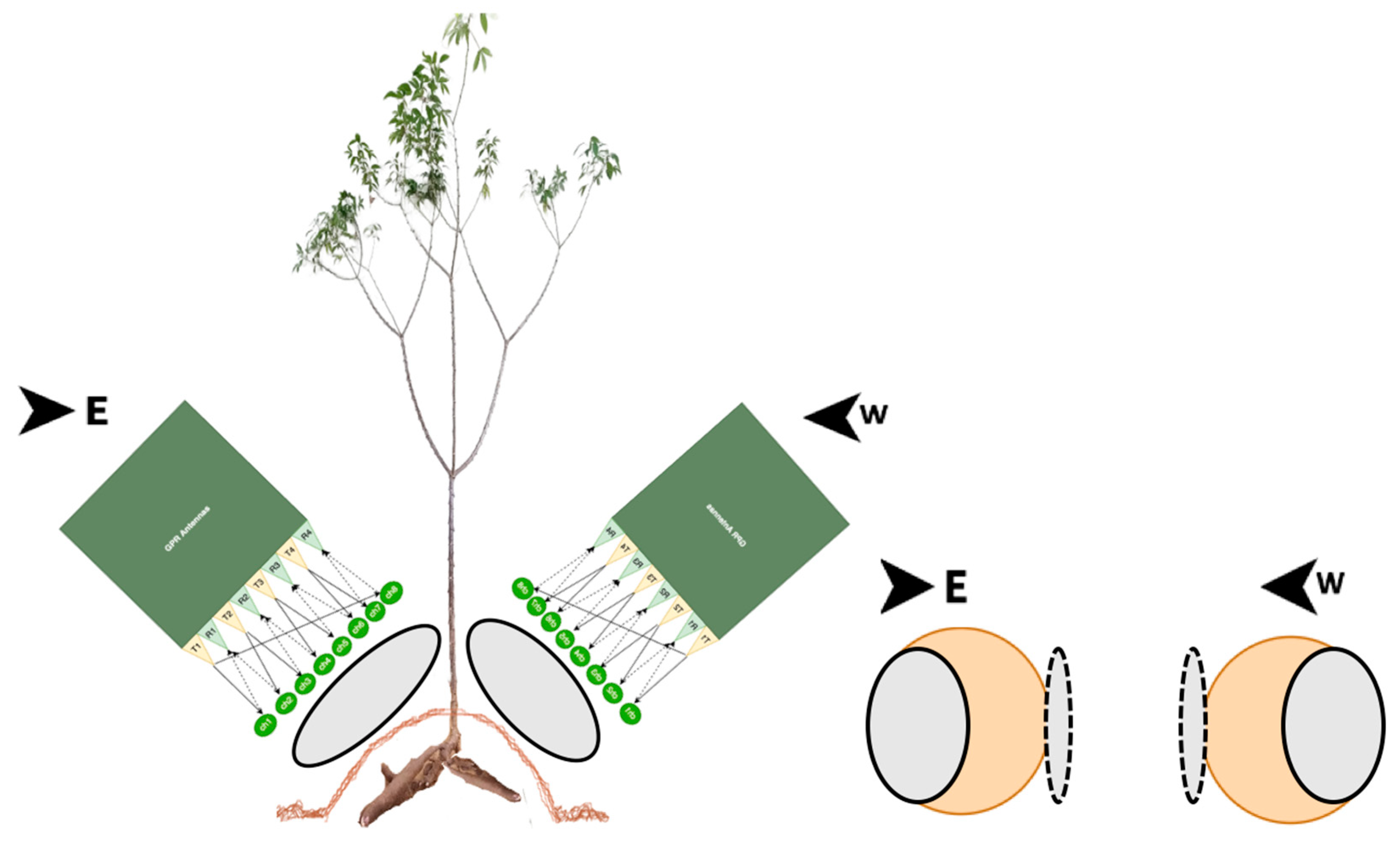 Remotesensing 15 01771 g006