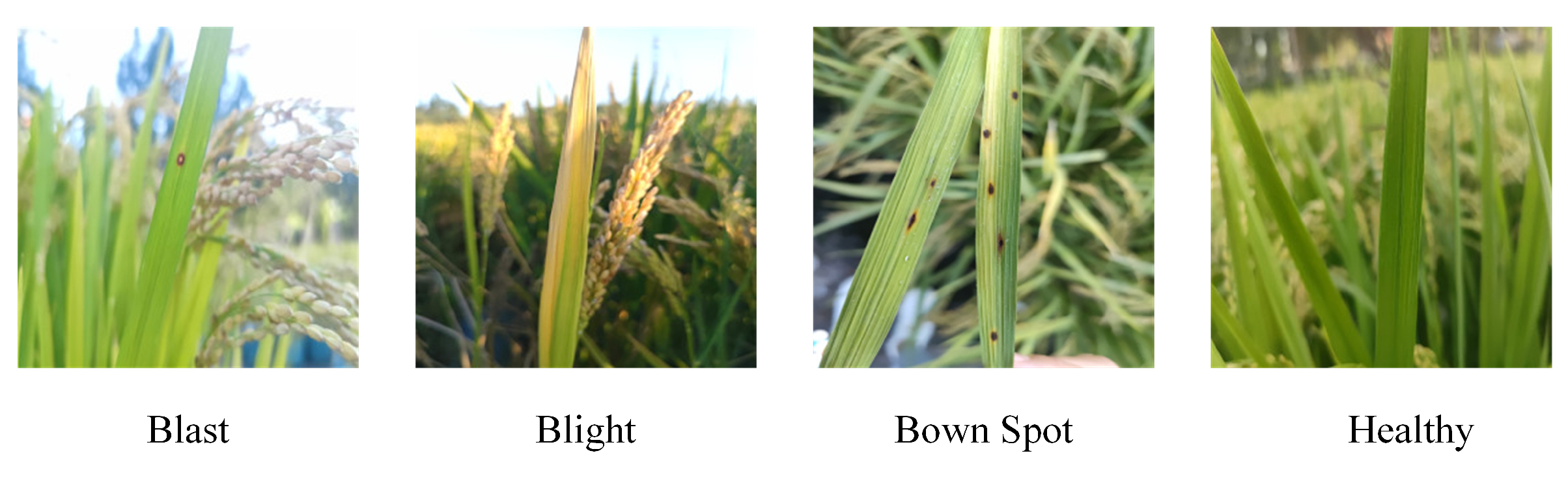 Remotesensing 15 01789 g019