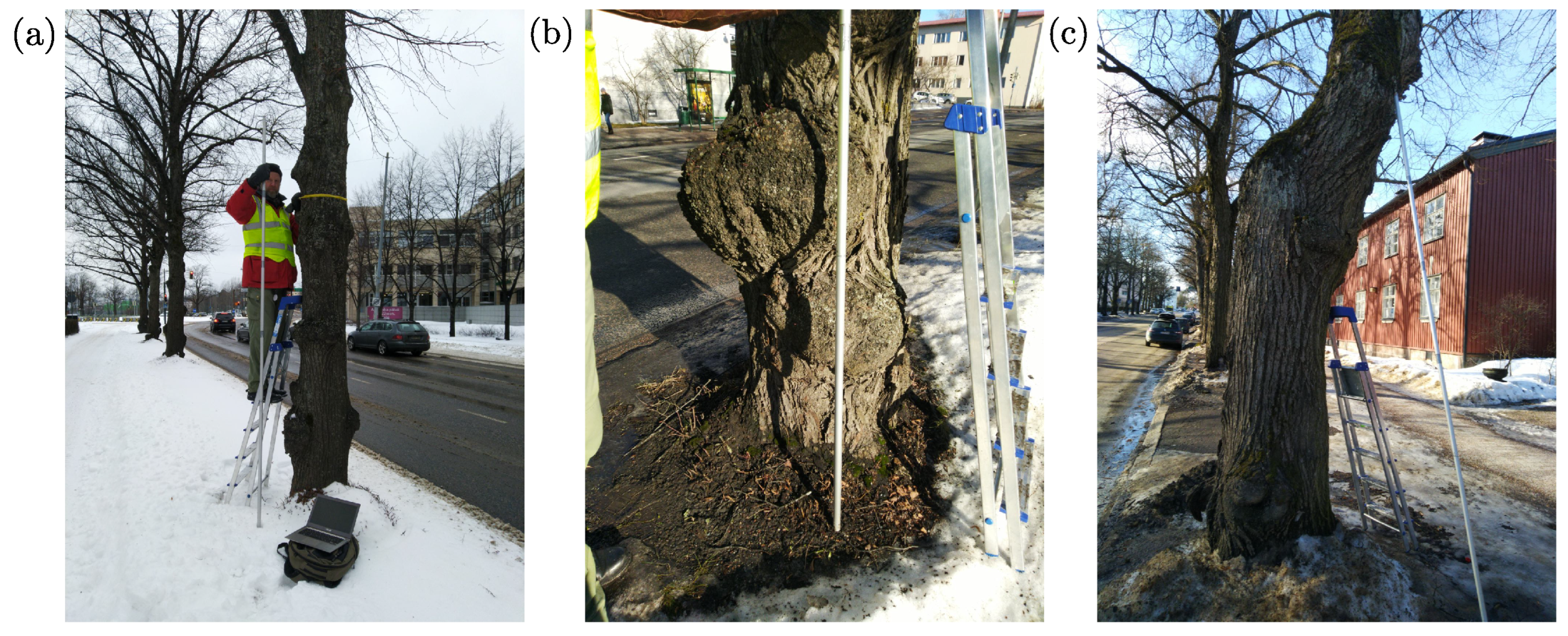 Remotesensing 15 01790 g001