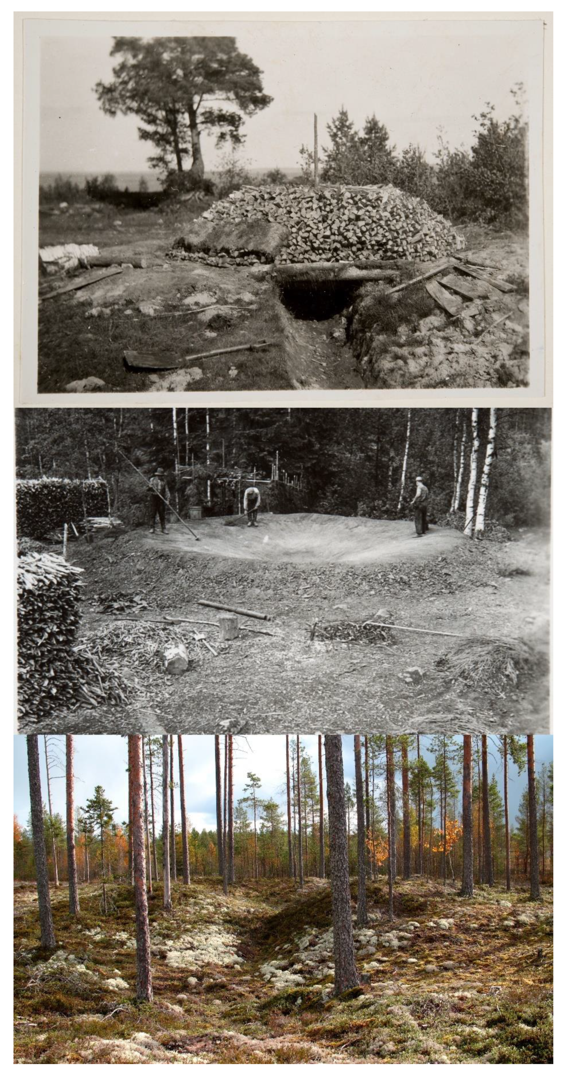 Remotesensing 15 01799 g001