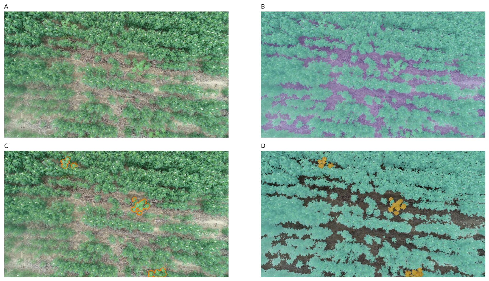 Remotesensing 15 01817 g001