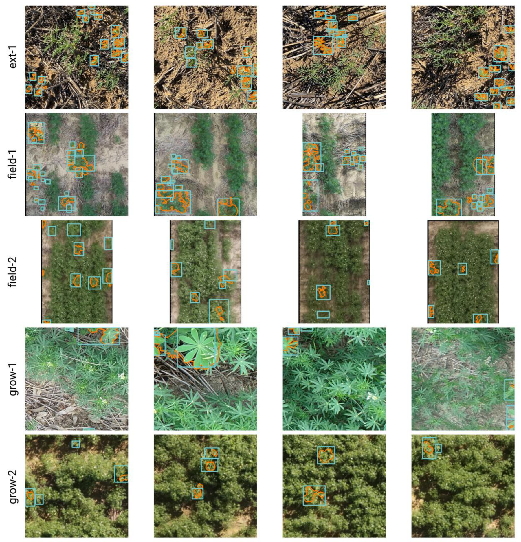 Remotesensing 15 01817 g005