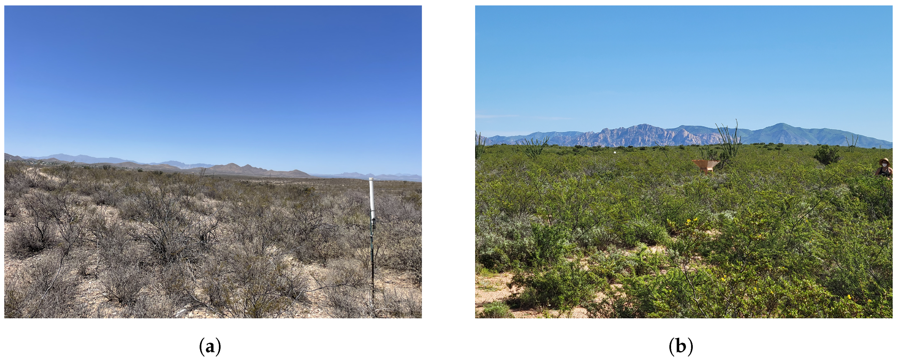 Remotesensing 15 01880 g002 Remotesensing 15 01880 g002