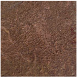 Remotesensing 15 01900 i008 Remotesensing 15 01900 i008